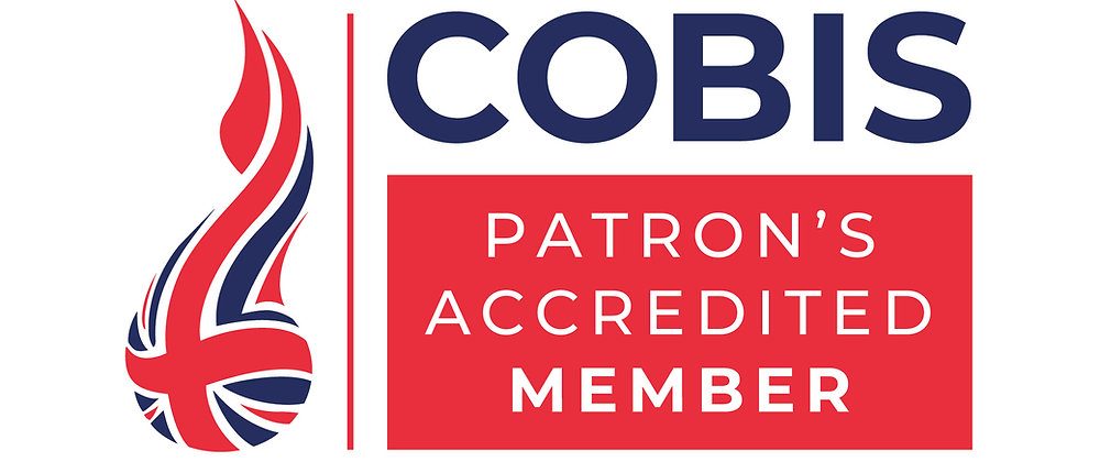 c72f7c_2a43e53eb7cb49158136abbe1a3f775b~mv2